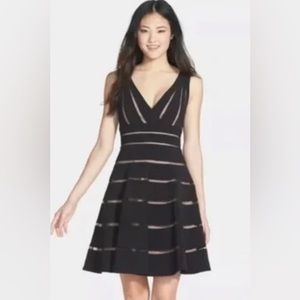 JS Collection Stripe Mesh Fit and Flare Dress